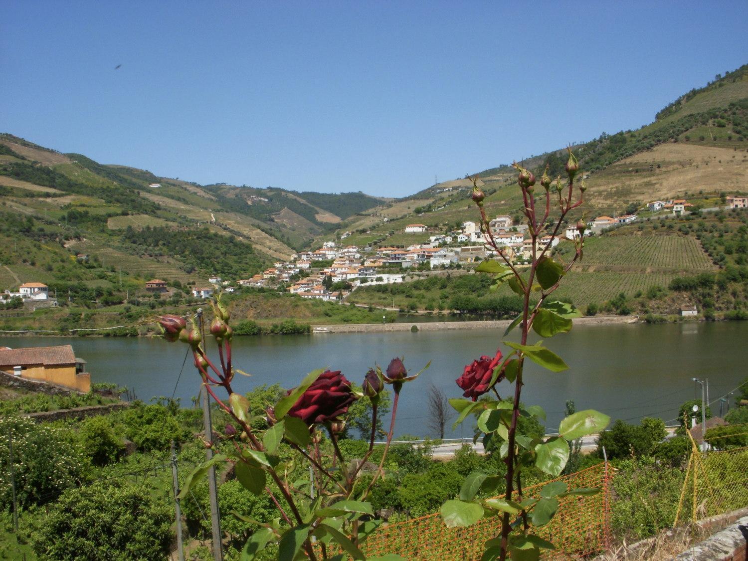 Quinta Da Azenha Hotel Folgosa  Luaran gambar