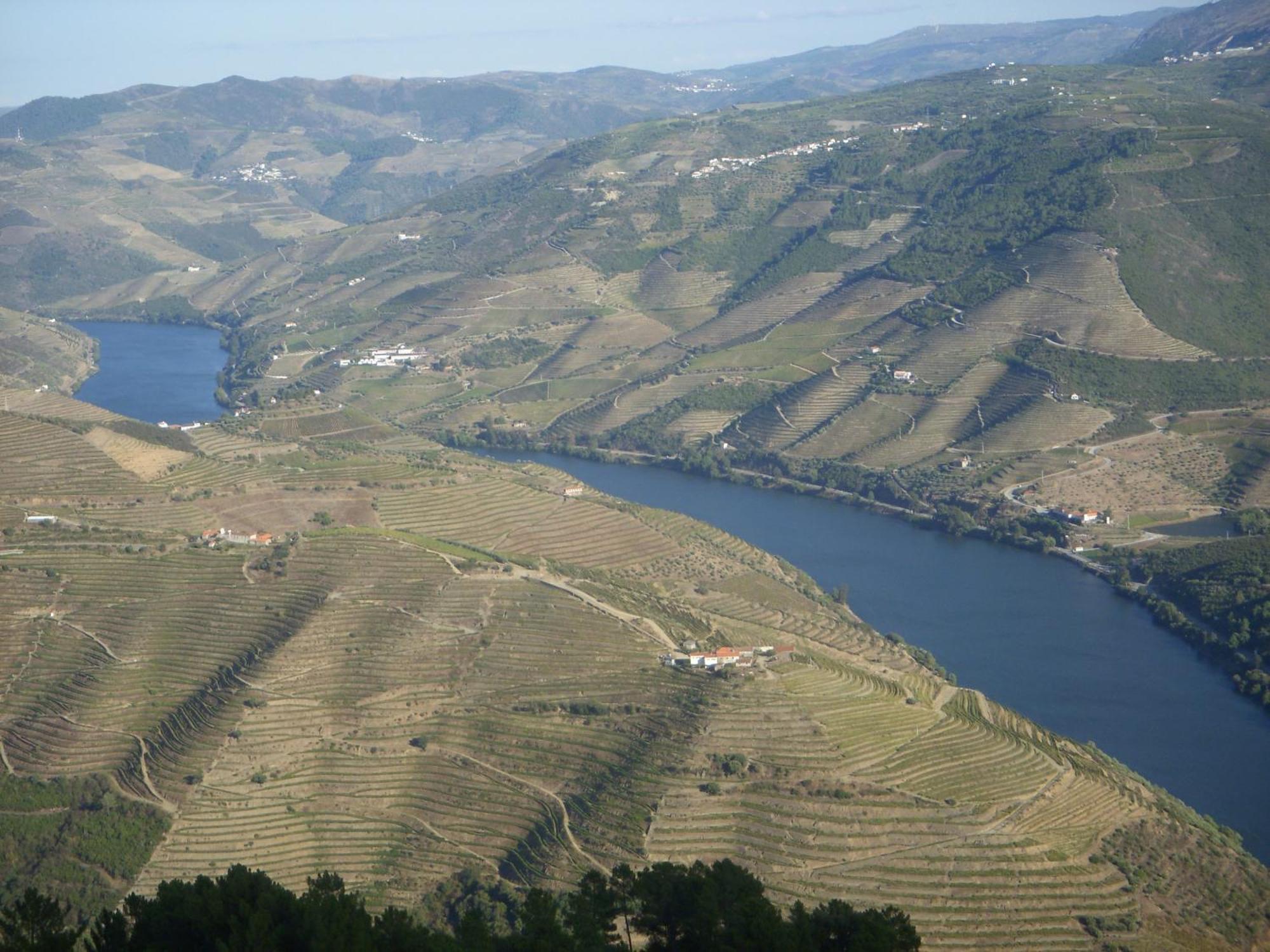 Quinta Da Azenha Hotel Folgosa  Luaran gambar